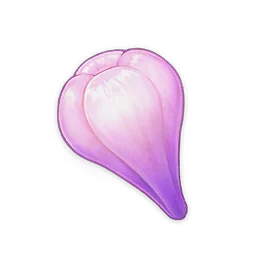 Amakumo Fruit