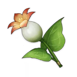 Calla Lily
