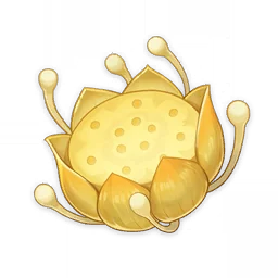 Nilotpala Lotus