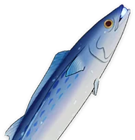 Luxurious Sea-Lord
